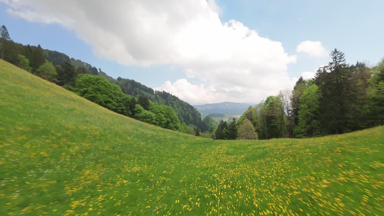 Lush green meadows in Atzmännig, Switzerland, captured with a stunning FPV flight