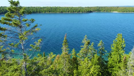 panoramic aerial overview of coniferous trees lining stunning blue water bay with strong current