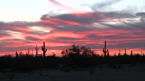 el sol se pone en una zona desértica