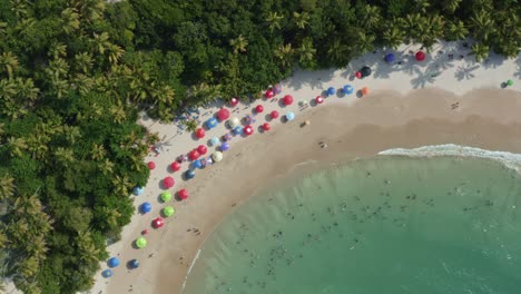 Rotating-aerial-drone-bird's-eye-wide-shot-of-the-popular-tropical-Coquerinhos-beach-with-colorful-umbrellas,-palm-trees,-golden-sand,-turquoise-water,-and-tourist's-swimming-in-Conde,-Paraiba,-Brazil