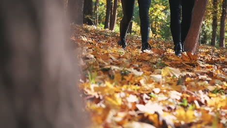 girlfriend and boyfriend boots and legs taking a romantic walk on the fallen leaves