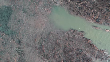 AERIAL:-Top-down-fly-across-rock-coastline-showing-rockpools-and-seabirds,-Rhossili-Gower,-4k-Drone