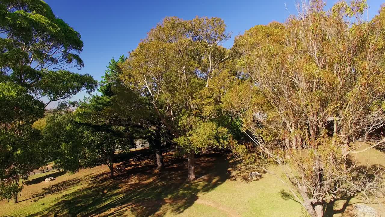 공원 에서 산책 하는 가족