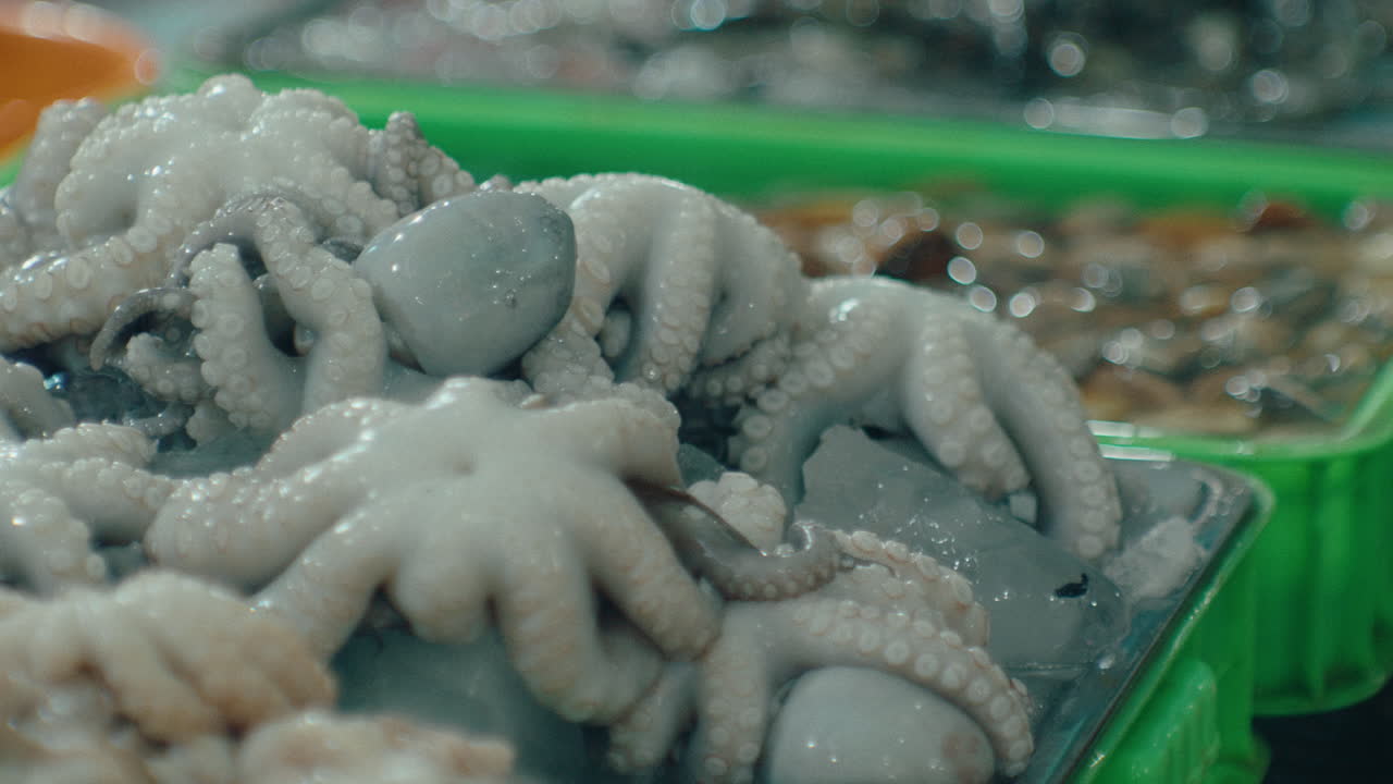 mercado nocturno de mariscos en la ciudad costera de vung tau, vietnam