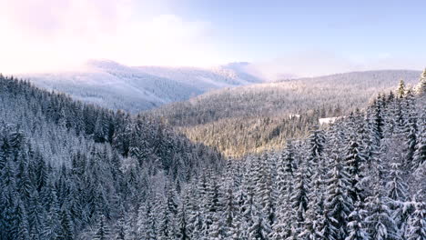 Atemberaubende-Winterlandschaft-In-Tschechien,-Schneebedeckte-Bergwälder,-Sonnenuntergang