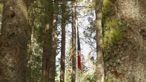 French-flag-waving-in-the-wind-in-a-forest