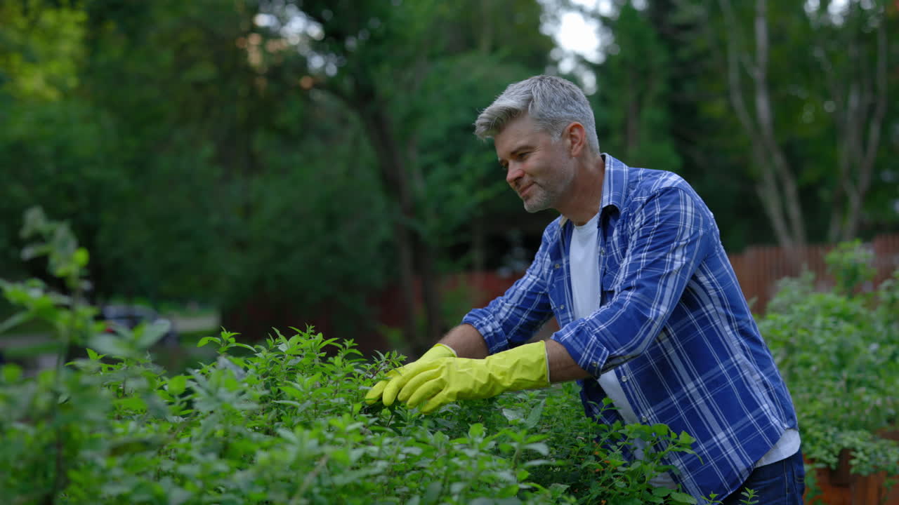 el hombre de la jardinería