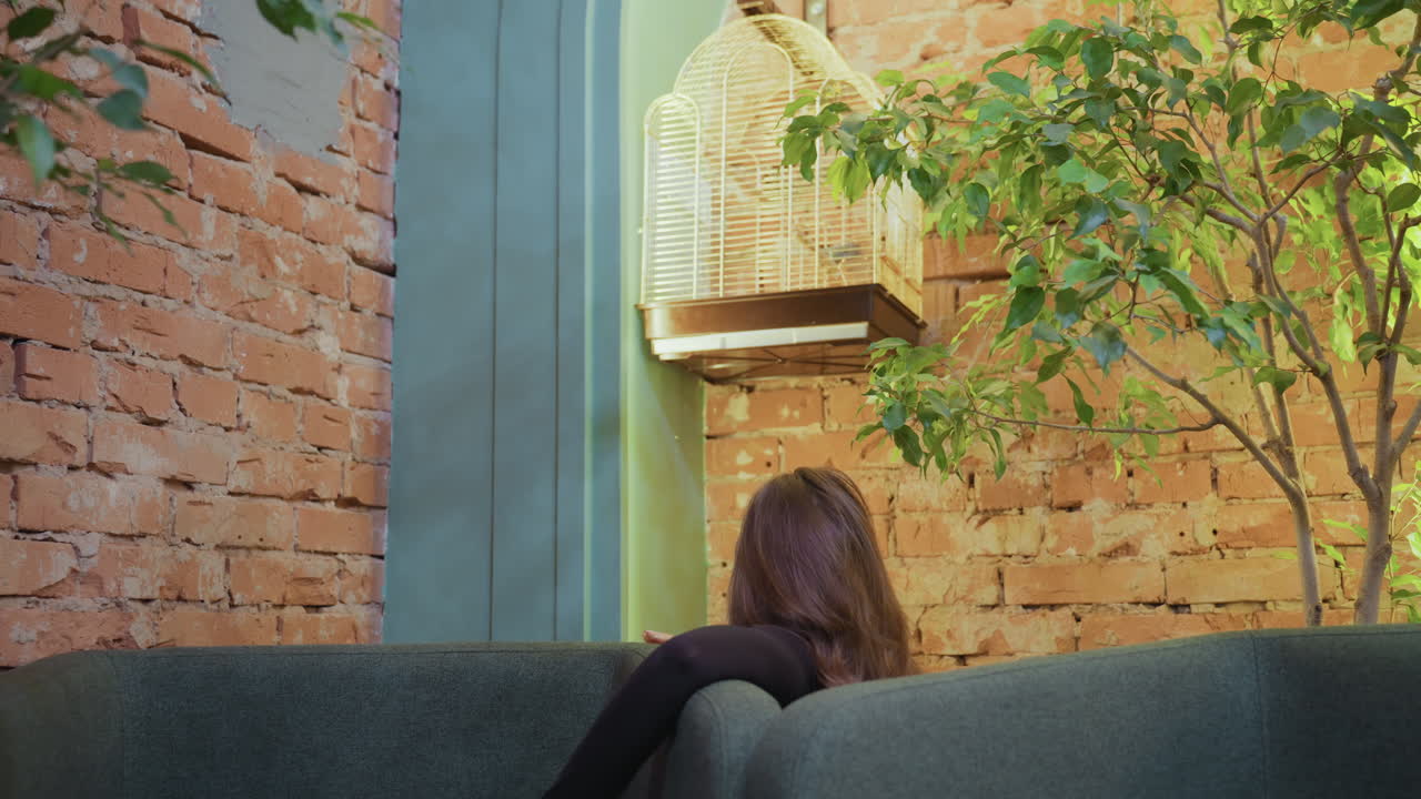 Woman with long hair seated on gray sofa reaches hand toward birdcage hanging on brick wall, surrounded by green indoor plant and warm rustic interior featuring natural textures and soft lighting
