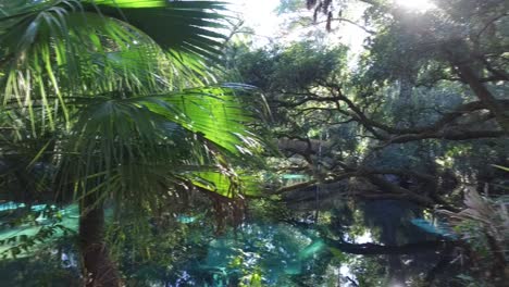 beutiful blue lake in the forest recorded with a dji osmo in 2016