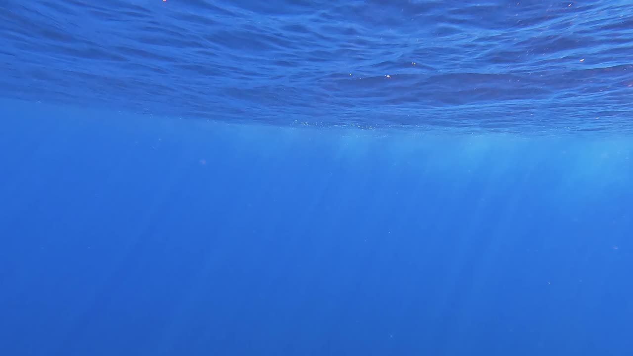 Swimming beneath the surface of open ocean in the deep blue sea with sunlight filtering through water