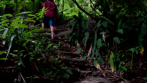 man climbs on stone steps in the jungle