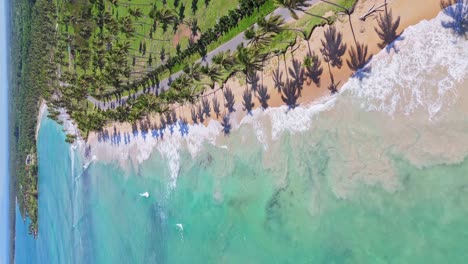 playa la entrada beach, maria trinidad sanchez in dominican republic. aerial backward and vertical format