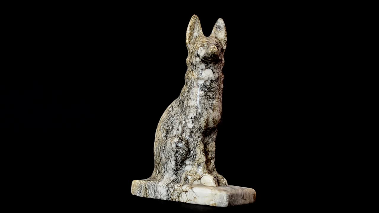 Çoban köpeği heykelciği çekimi