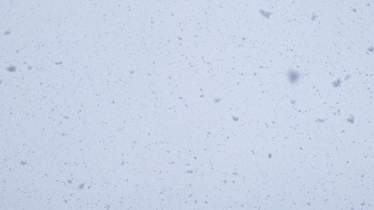 grandes copos de nieve caen contra un cielo brillante