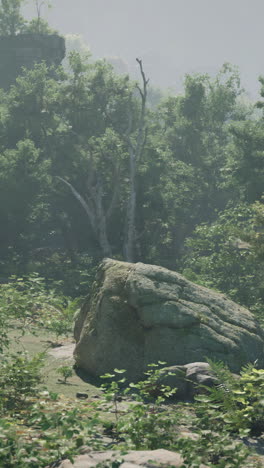 serene forest landscape with large rock