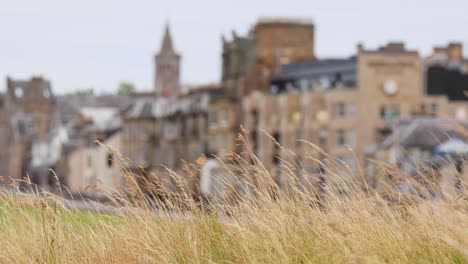 scenic view of st andrews golf course