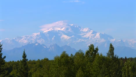 mount denali with lush forested foothills and distant glaciers in denali national park, alaska. static shot in daylight