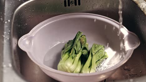 Hand turning on the faucet in the sink to soak wilted bok choy to avoid food loss and wastage for a sustainable ecological lifestyle