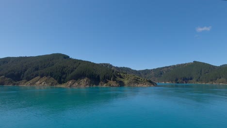 Forest-clad-hills-rise-above-a-calm,-beautiful-turquoise-colored-sea-in-Tory-Channel,-South-Island