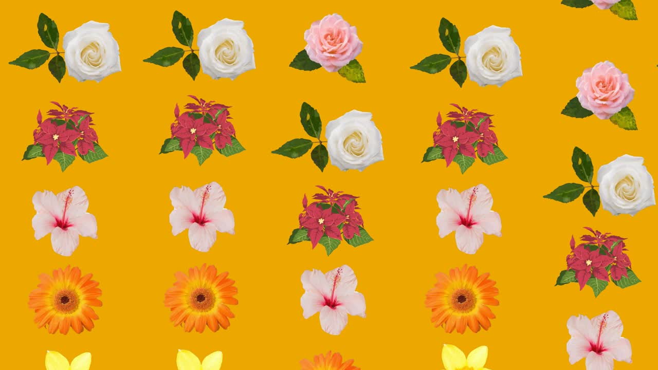 animación de flores que se mueven en movimiento hipnótico sobre un fondo naranja