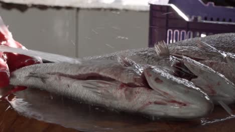 mahe seychelles man scaled and washing job fish with water pipe at the town market