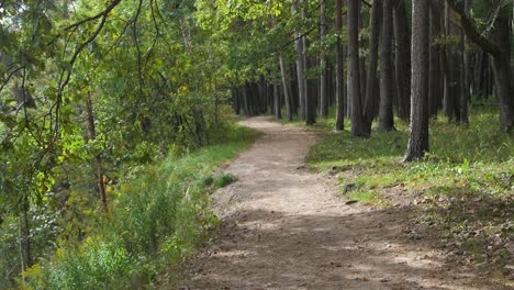 Gehweg-Mit-Herbstgelben-Blättern