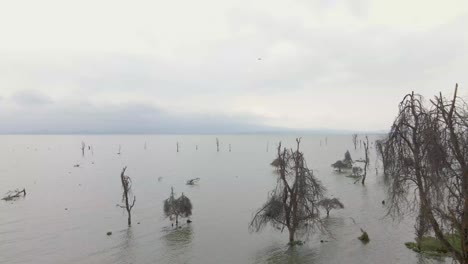 Aerial-view-of-Naivasha-lake-Republic-of-Kenya,-East-Africa