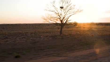 Atardecer-En-El-Interior-Desde-La-Ventanilla-De-Un-Auto,-Oodnadatta-Track-Sur-De-Australia