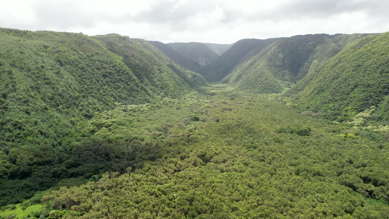 uma vista aérea do exuberante vale tropical pololu verde na grande ilha do havaí