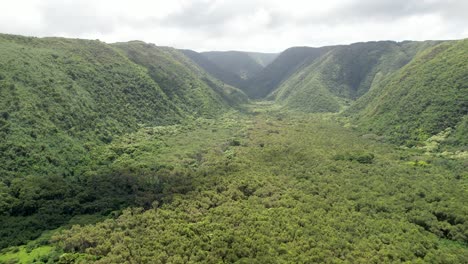 An-aerial-view-of-the-lush-green-tropical-Pololu-Valley-on-the-Big-Island-of-Hawaii