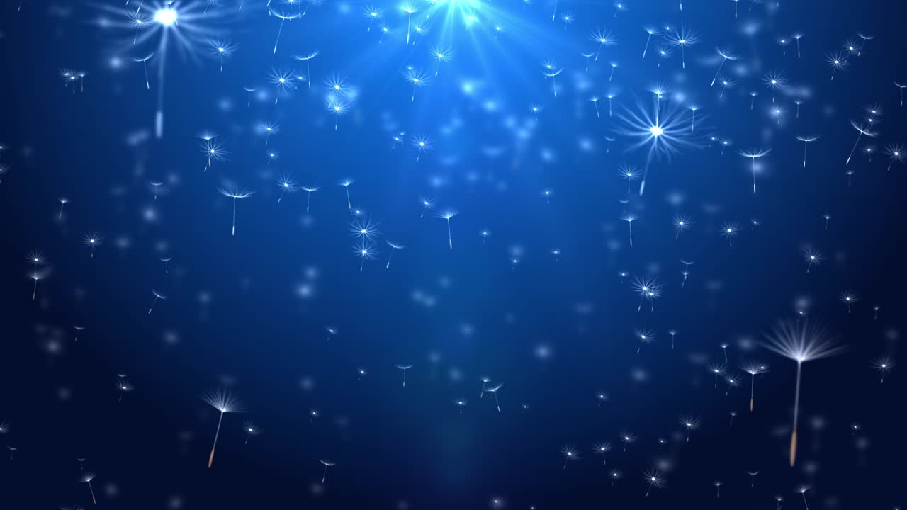 3d 추상 불꽃 식물 씨 우산 공간 입자 로맨스 바람 불어 예술 배경