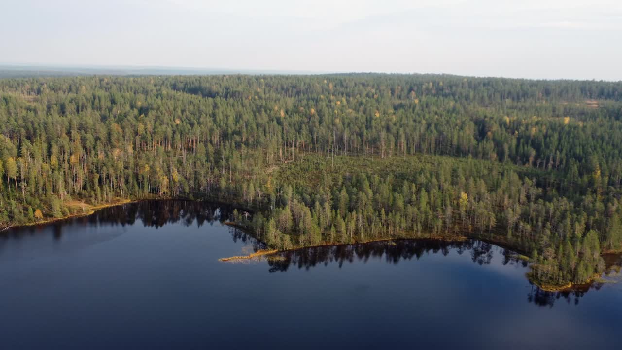 Evergreen trees extend to natural shoreline of northern blue lake
