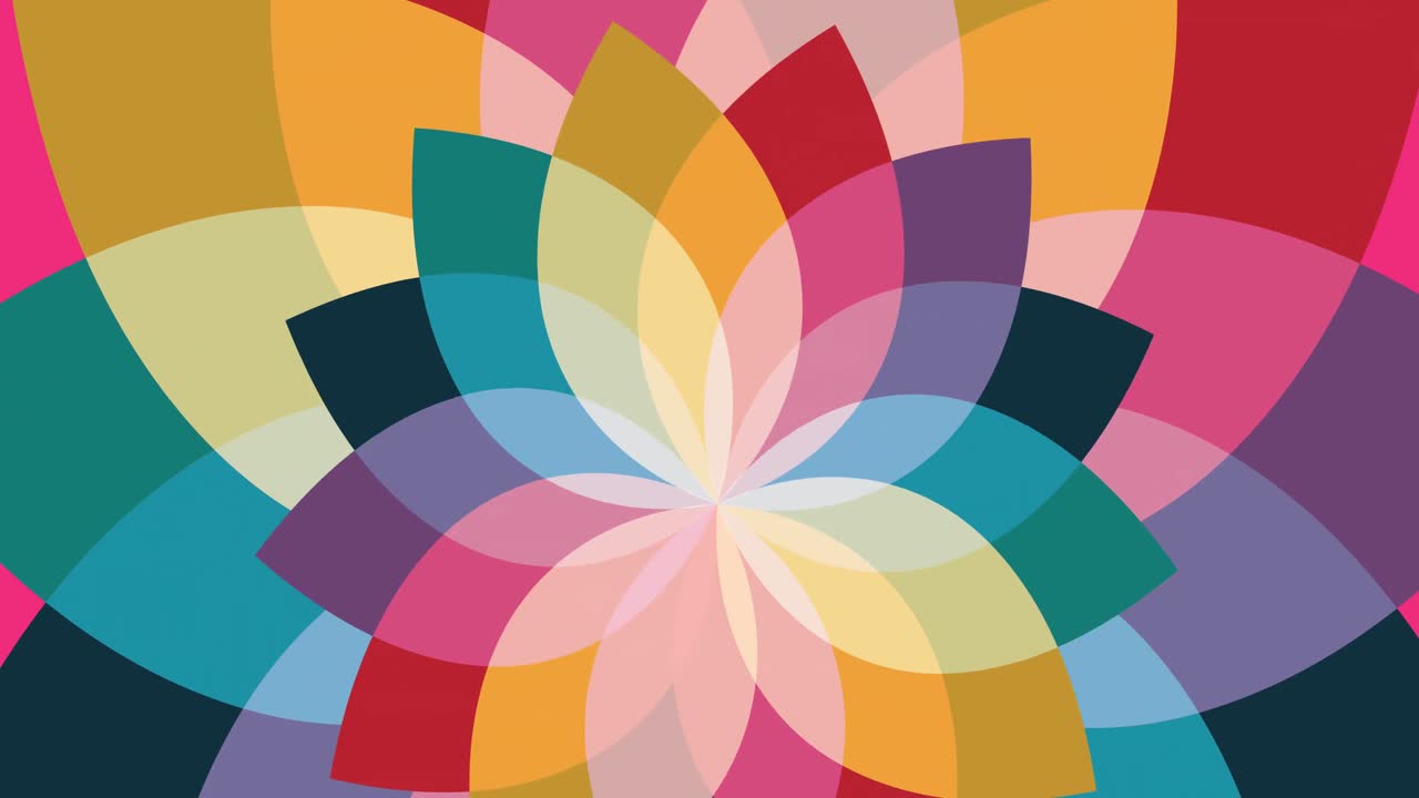 분홍색 배경 에 있는 다채로운 꽃 의 애니메이션