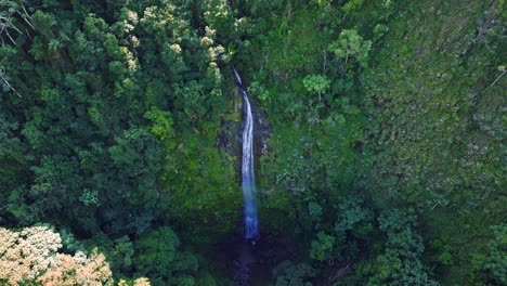 catarata salto rodeo, montañas bonao en la república dominicana
