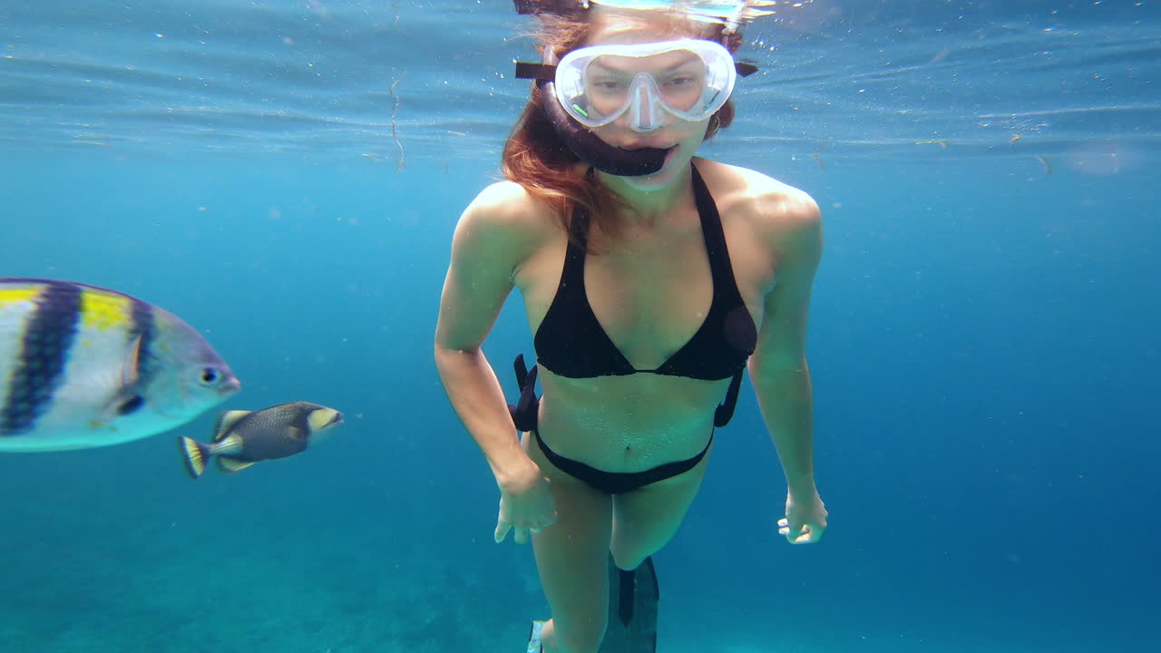 이것이 자유의 모습입니다.