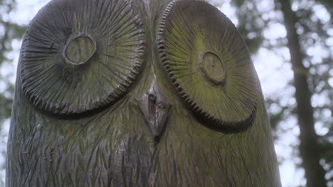 owl wooden sculpture closeup in english woodland with very slow pan up