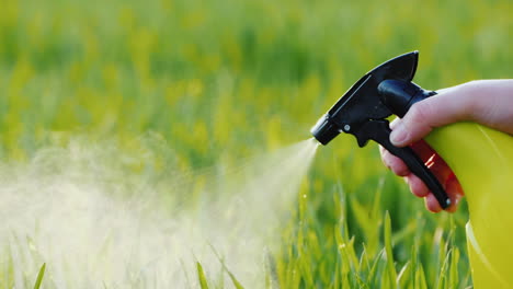 spray liquid from the hand sprayer onto the lawn garden care