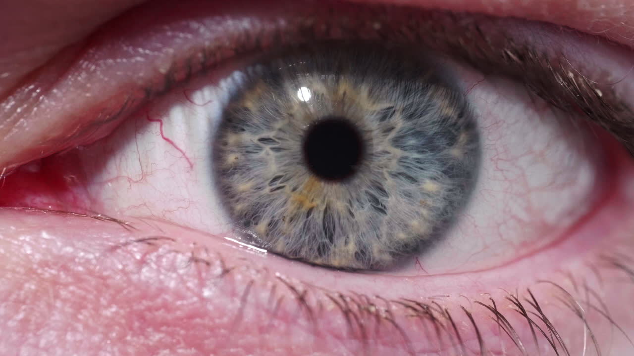 시력에 적응하는 눈 열기 및 동공 -닫기