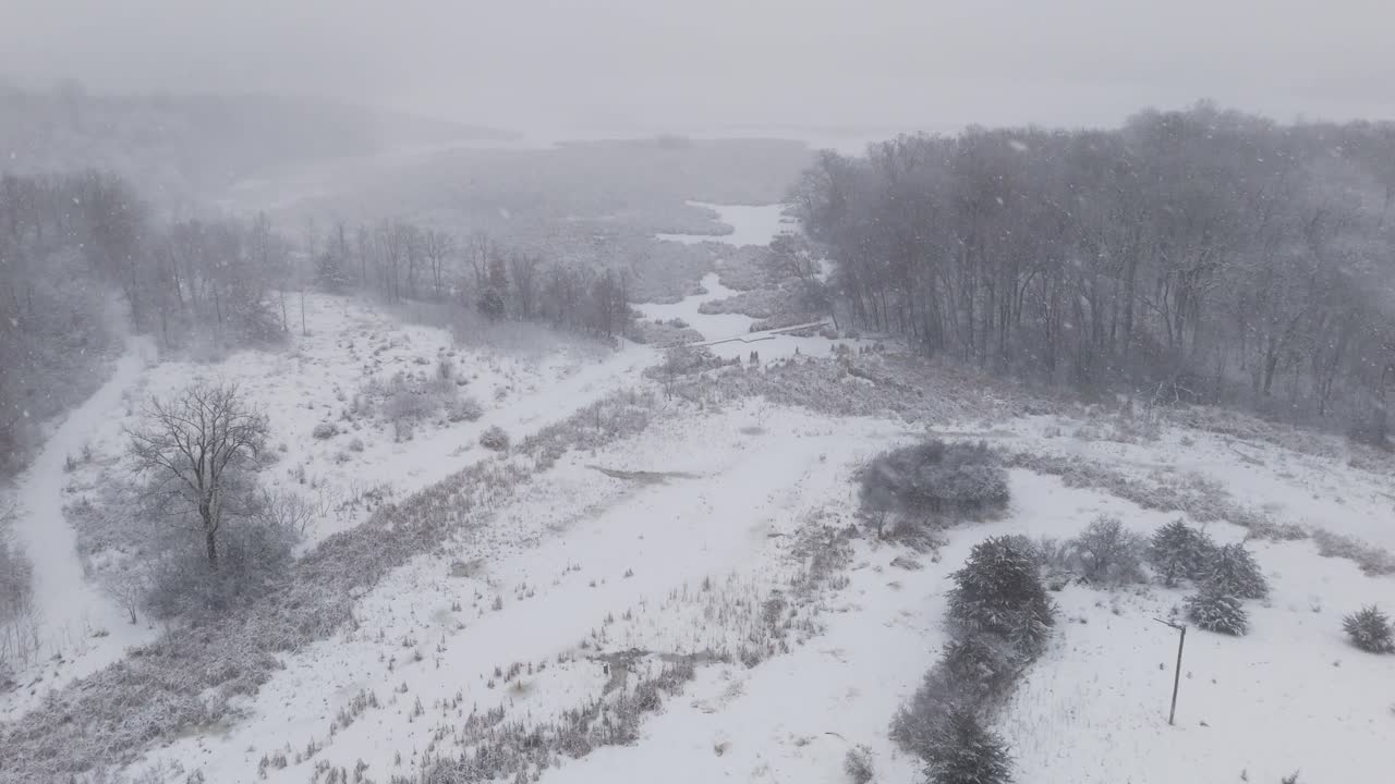 Winter-Schneesturm, heftiger Blizzard
