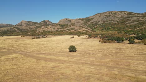 Vastas-Llanuras-Se-Encuentran-Con-Las-Crestas-De-Las-Montañas