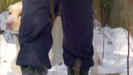 a man and a labrador dog walking on the snow