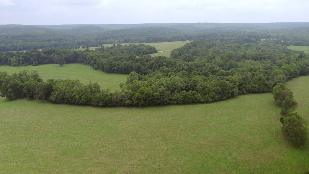 tire hacia atrás sobre campos y árboles en el sur de missouri en un día nublado de verano