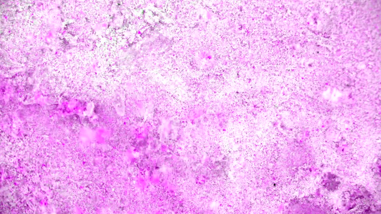 el rizado de las pinturas