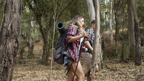 couple of active hikers walking across forest