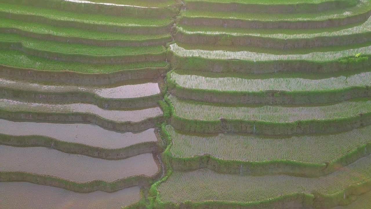 toma aérea de arriba hacia abajo de arrozales en terrazas inundadas en vietnam, asia