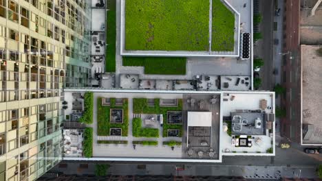 rooftop gardens and green spaces in urban city in america