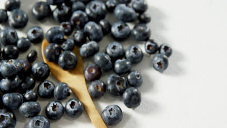 blueberries with wooden spoon on white background 4k 4k