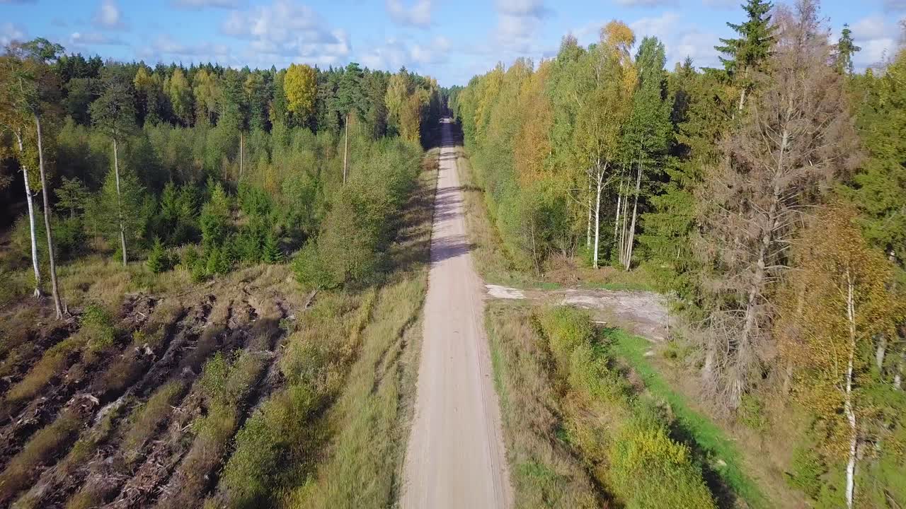 Early autumn in forest, aerial top view, mixed forest, green conifers, deciduous trees with yellow leaves, fall colors woodland with gravel road, nordic forest landscape, wide angle establishing shot