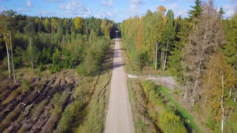 early autumn in forest, aerial top view, mixed forest, green conifers, deciduous trees with yellow leaves, fall colors woodland with gravel road, nordic forest landscape, wide angle establishing shot