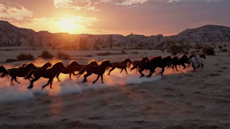 wild horses galloping at sunset